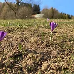 Aparthotel Bella V Hotelovom Komplexe 4*